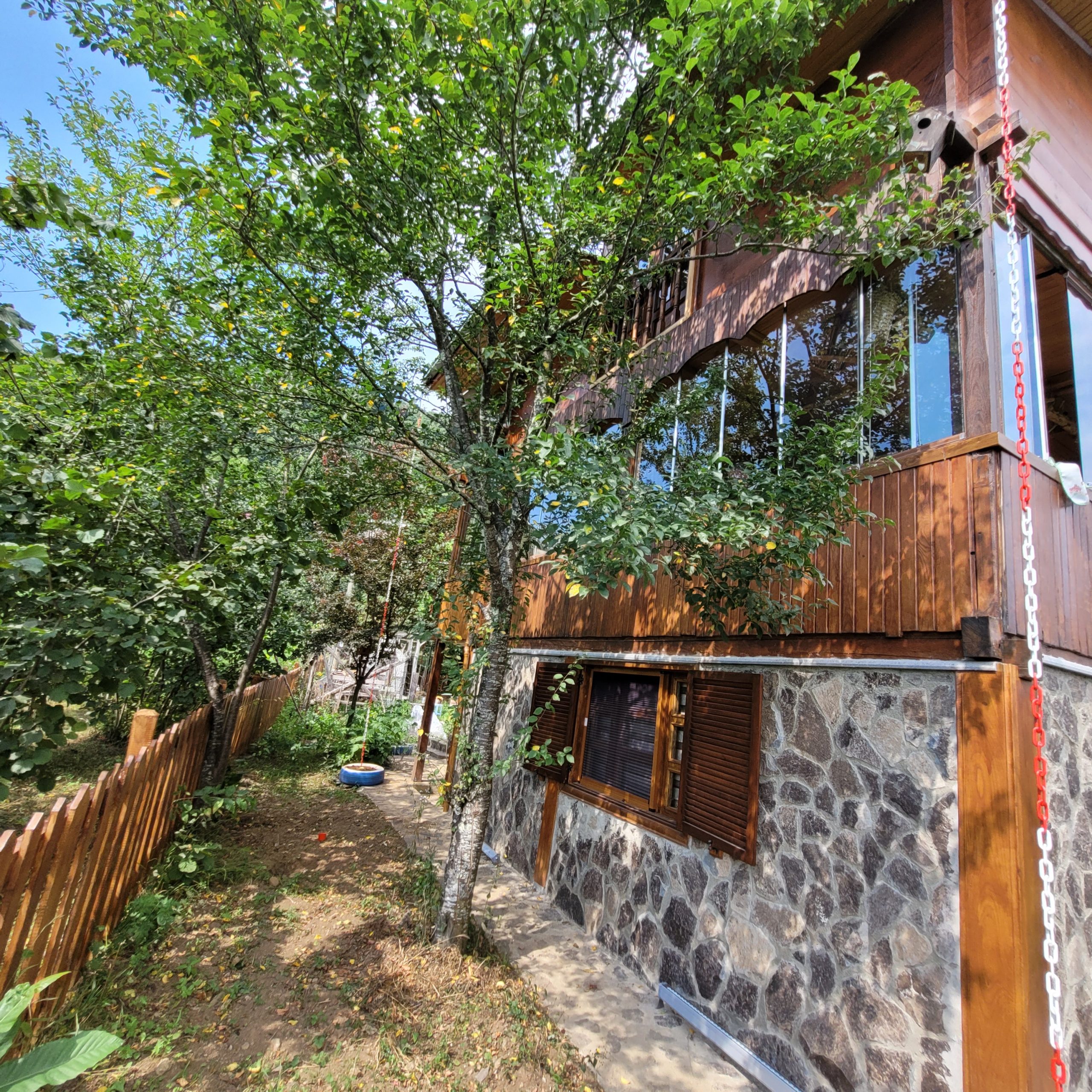 Dış Görünüm
